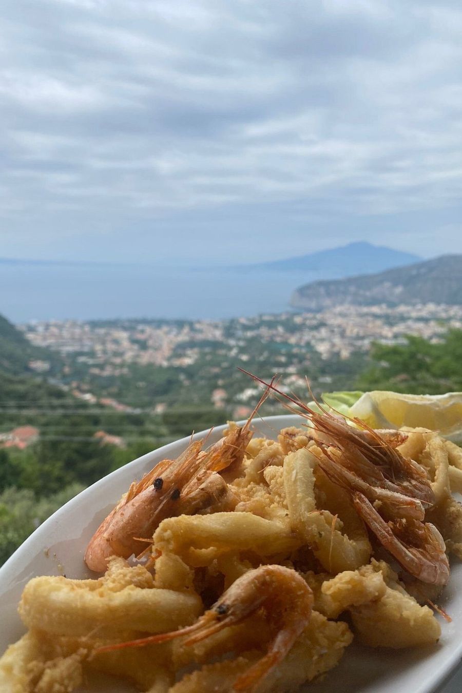 Il panorama - ristorante sorrento